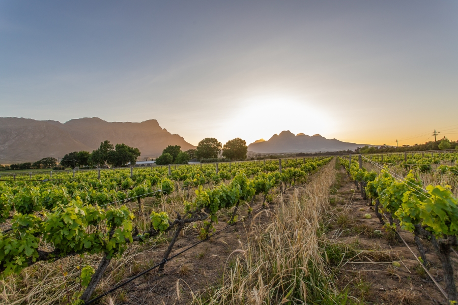 0 Bedroom Property for Sale in Franschhoek Rural Western Cape